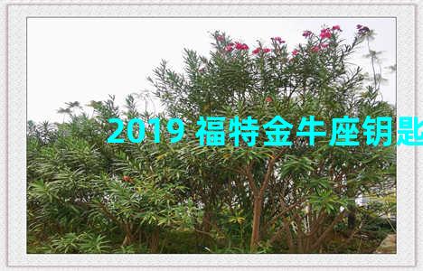 2019 福特金牛座钥匙